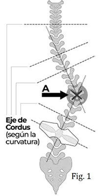 Eje de Cordus según la curvatura